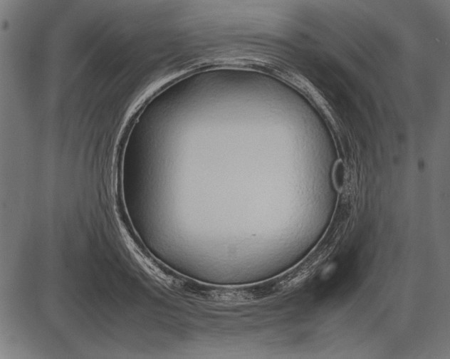 X0000086080795200704091300