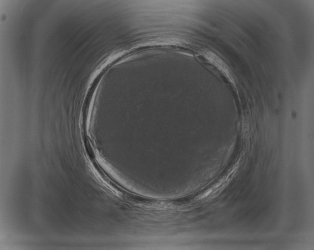 X0000086080797200704091300