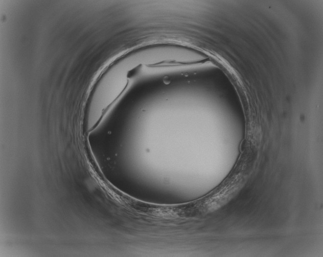 X0000086080799200704091259