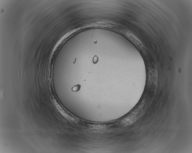 X0000086080800200704091259