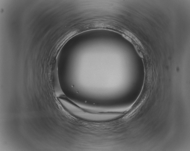 X0000086080801200704091259