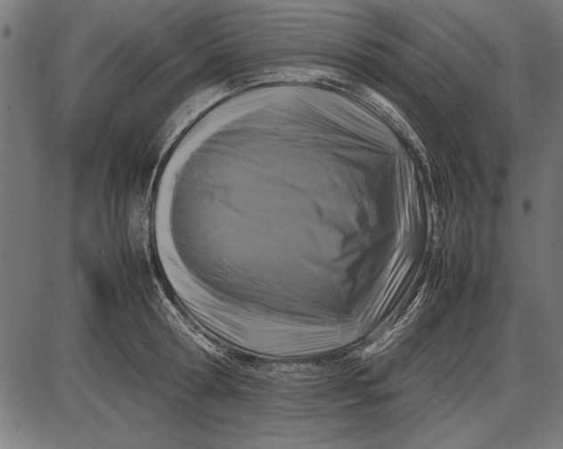 X0000086080802200704091259