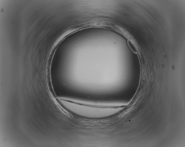 X0000086080803200704091259