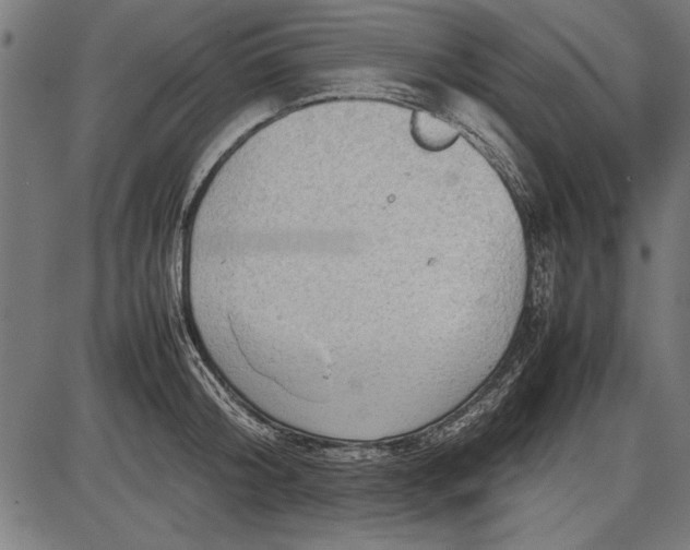 X0000086080804200704091259