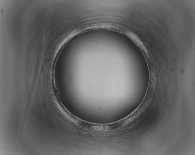 X0000086080805200704091259