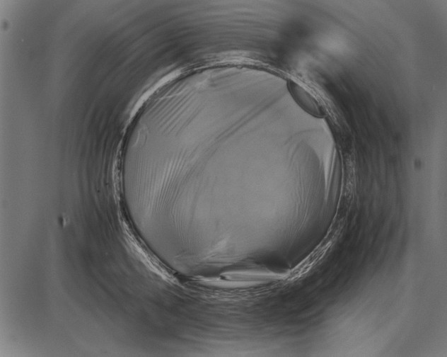 X0000086080806200704091259