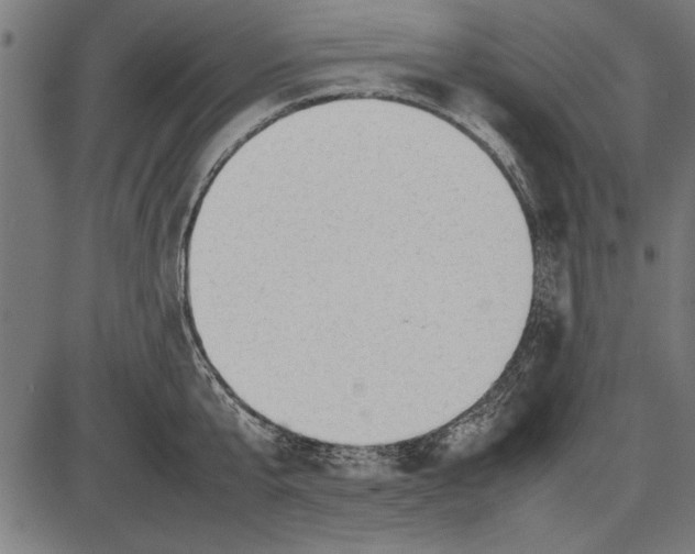 X0000086080807200704091259