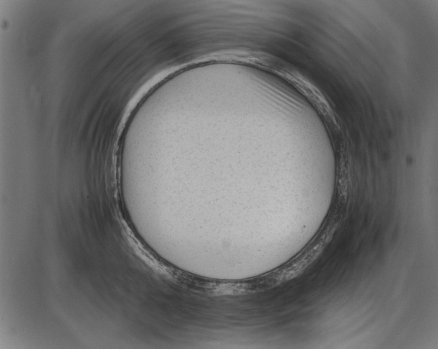 X0000086080808200704091259