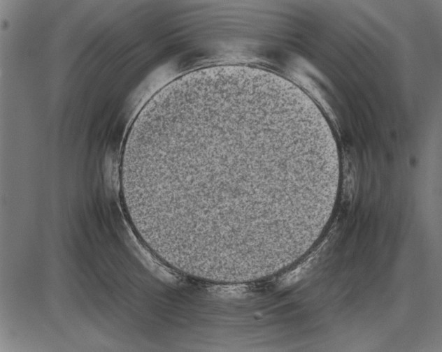 X0000086080810200704091259