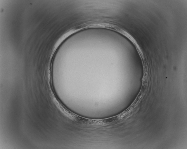 X0000086080811200704091259