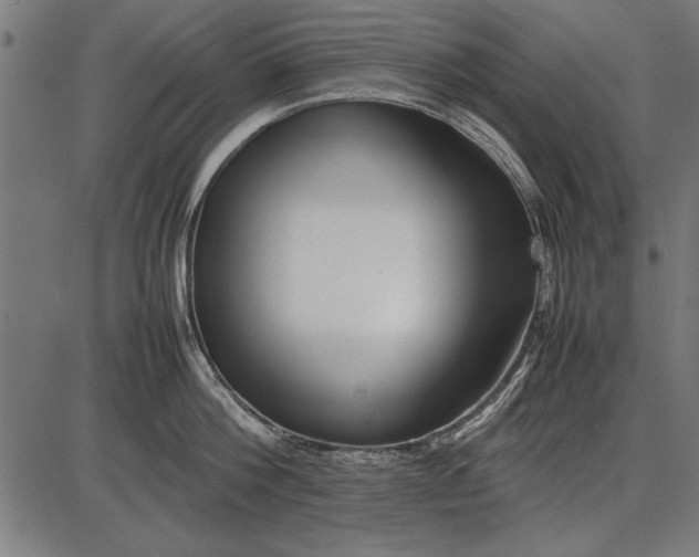 X0000086080812200704091259