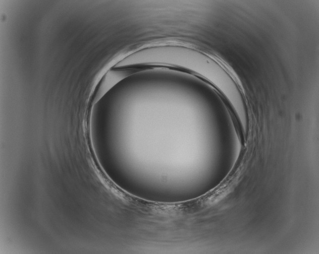 X0000086080813200704091259