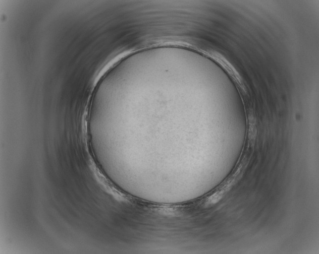 X0000086080814200704091259