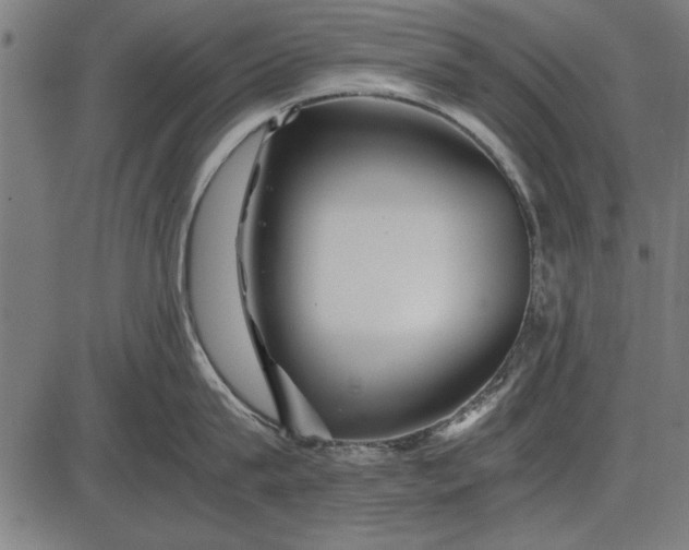 X0000086080815200704091259