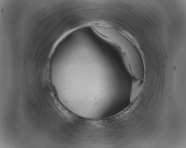 X0000086080816200704091259