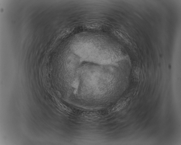 X0000086080817200704091258