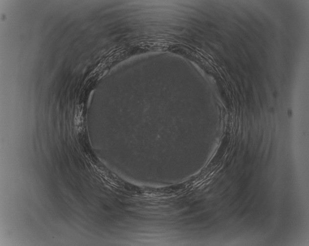 X0000086080818200704091258