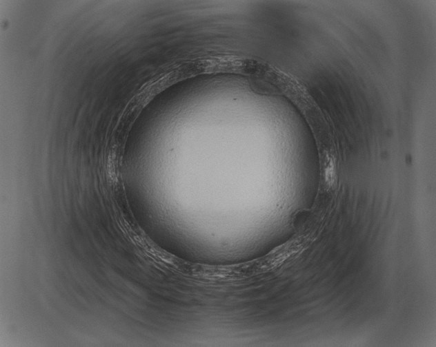 X0000086080819200704091258