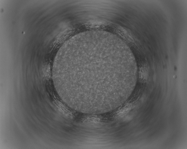 X0000086080820200704091258