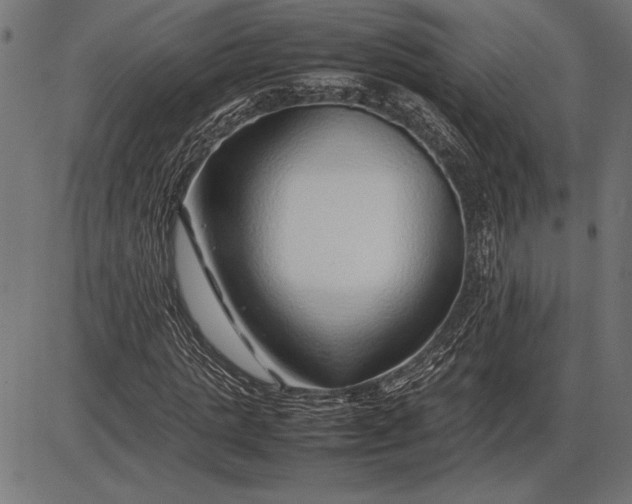 X0000086080821200704091258