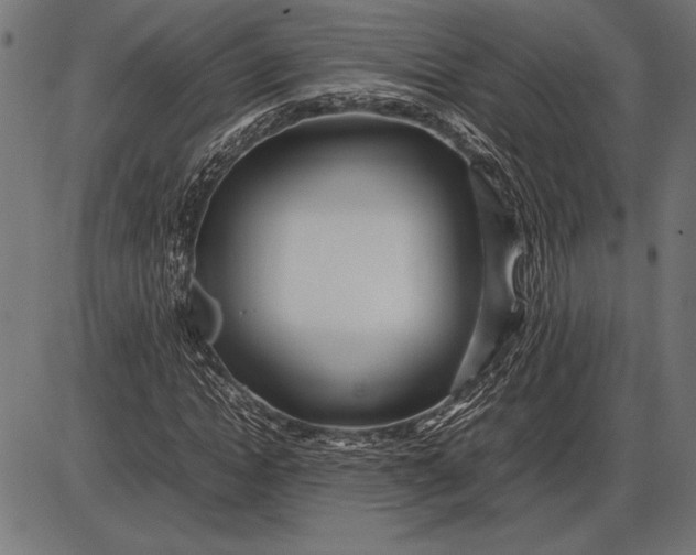 X0000086080822200704091258