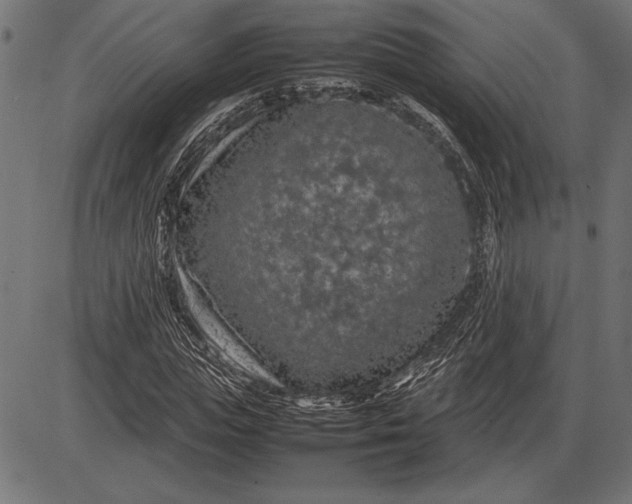 X0000086080823200704091259