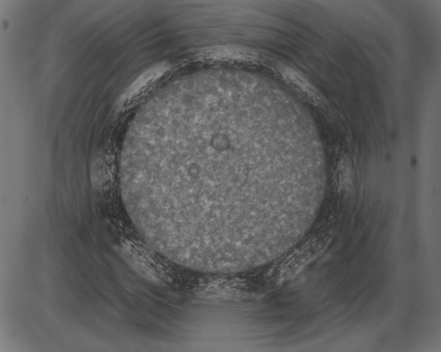 X0000086080824200704091259