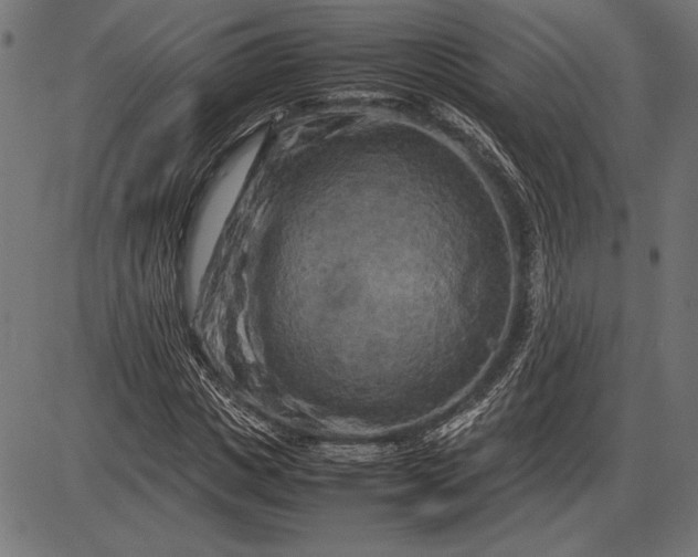 X0000086080825200704091259