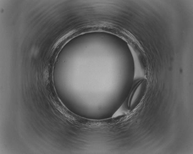 X0000086080826200704091259