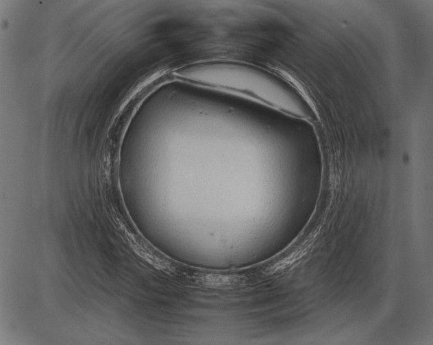 X0000086080827200704091259