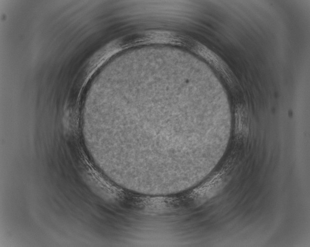 X0000086080828200704091259