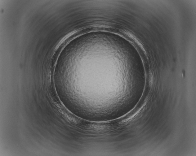 X0000086080829200704091259