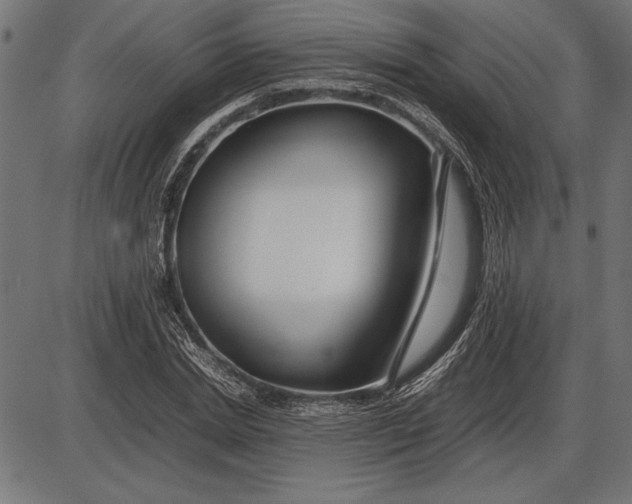 X0000086080830200704091259