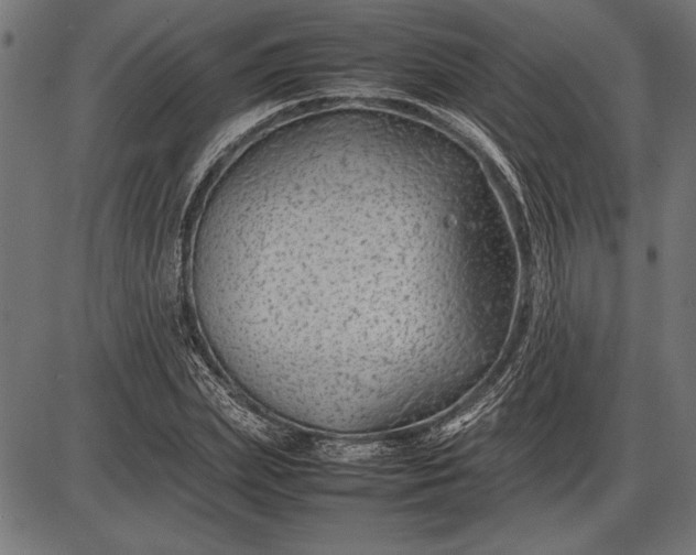 X0000086080831200704091259