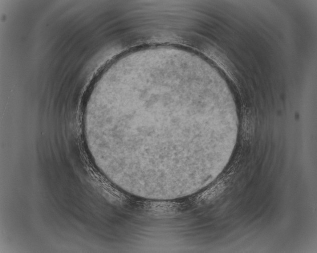 X0000086080832200704091259