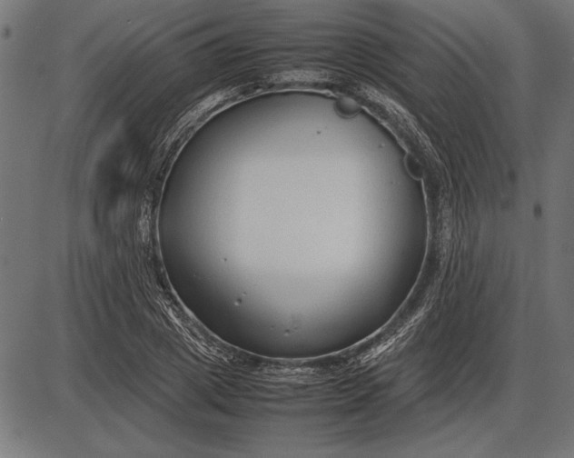 X0000086080833200704091259