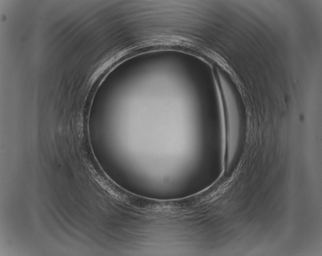 X0000086080834200704091259