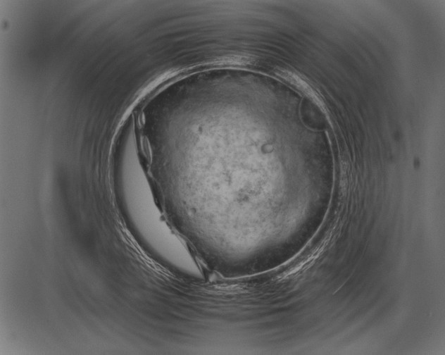 X0000086080835200704091259