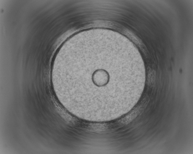 X0000086080836200704091259