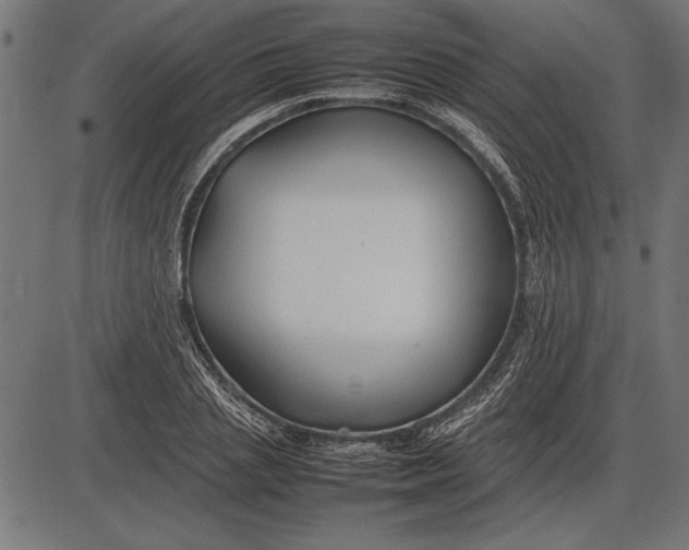 X0000086080837200704091259