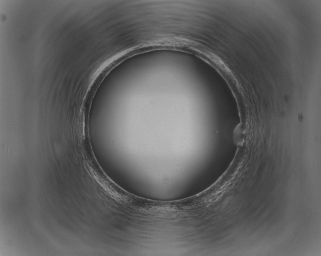 X0000086080838200704091259