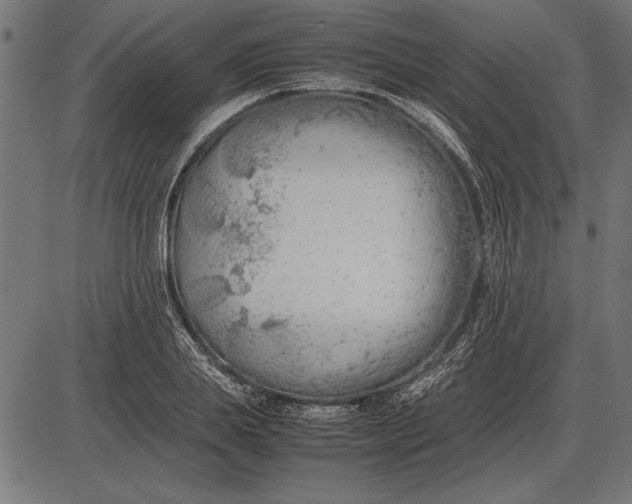 X0000086080839200704091259