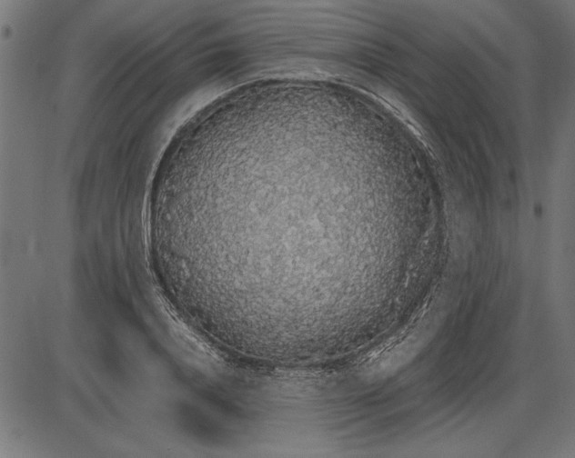 X0000086080840200704091259