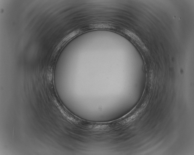 X0000086080841200704091259