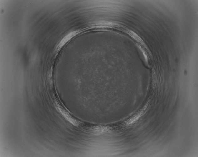 X0000086080842200704091259