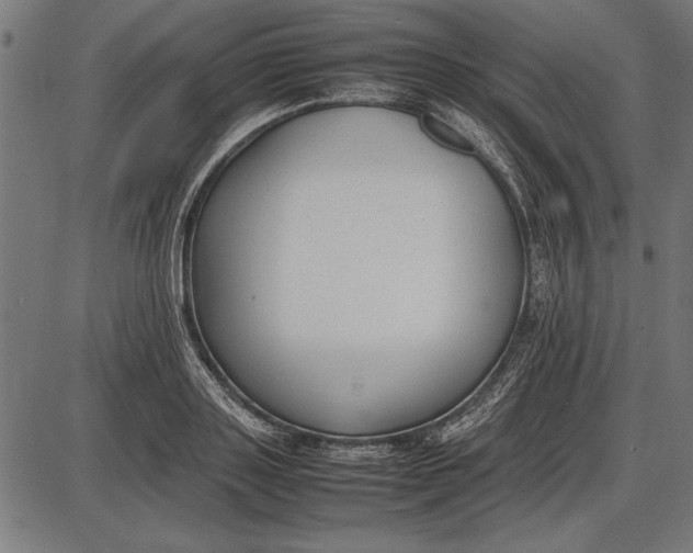 X0000086080843200704091259