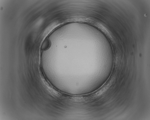 X0000086080844200704091259