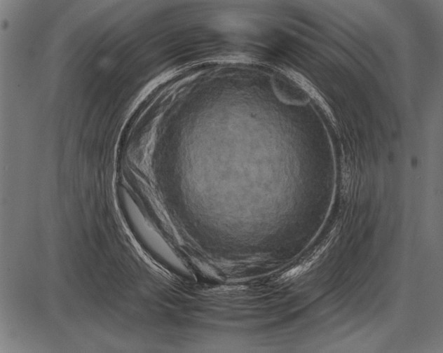 X0000086080845200704091259