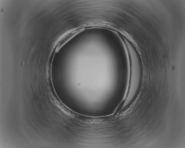 X0000086080846200704091259