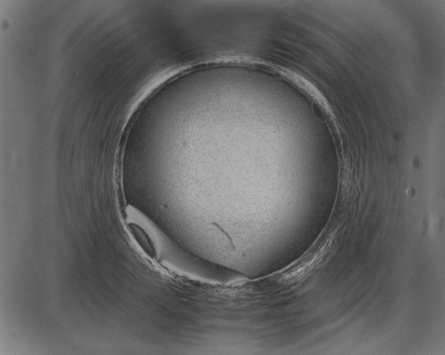 X0000086080847200704091259